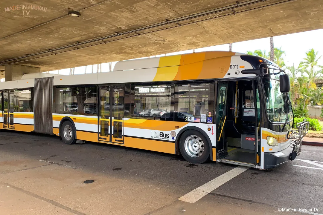 TheBus Wラインの外観